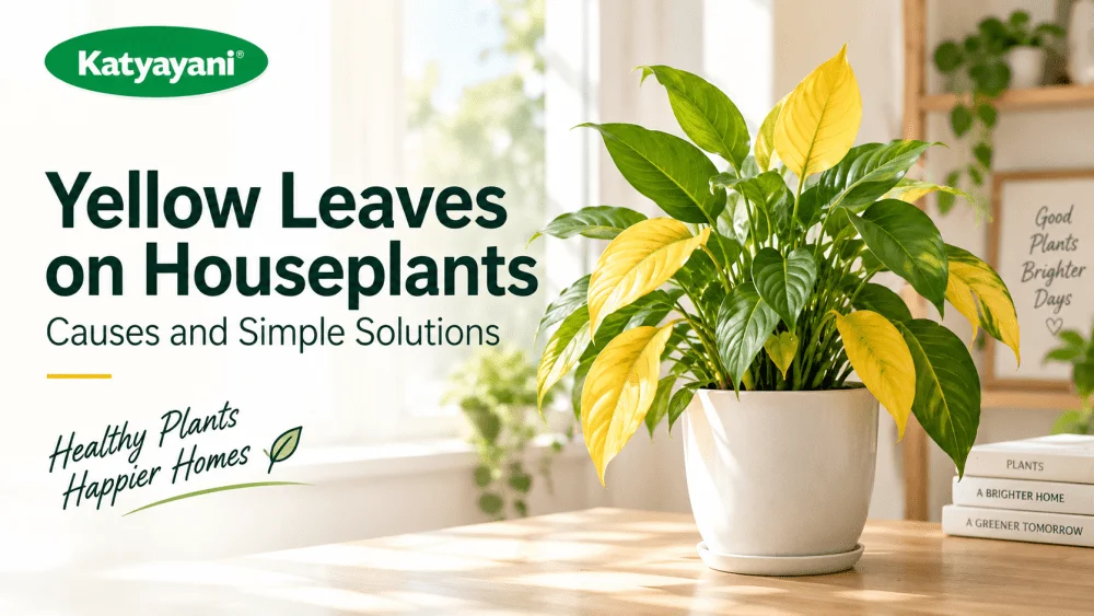 Yellow leaves on houseplants: a nutrient deficiency chart