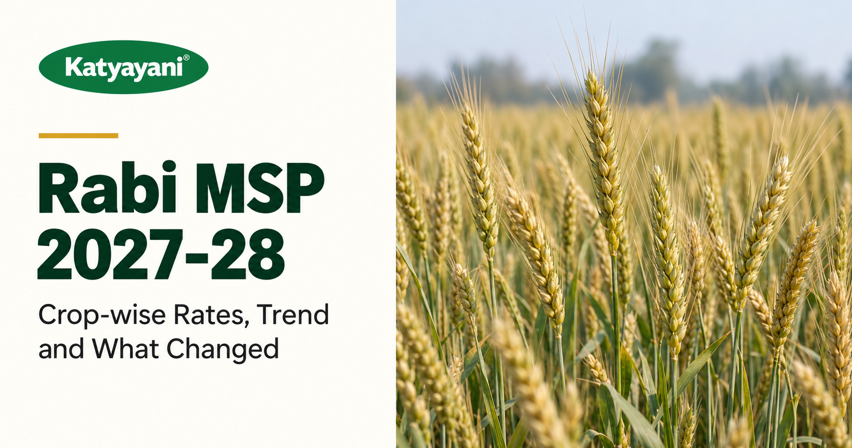 Rabi MSP 2027-28: Crop-wise Rates, Trend and What Changed
