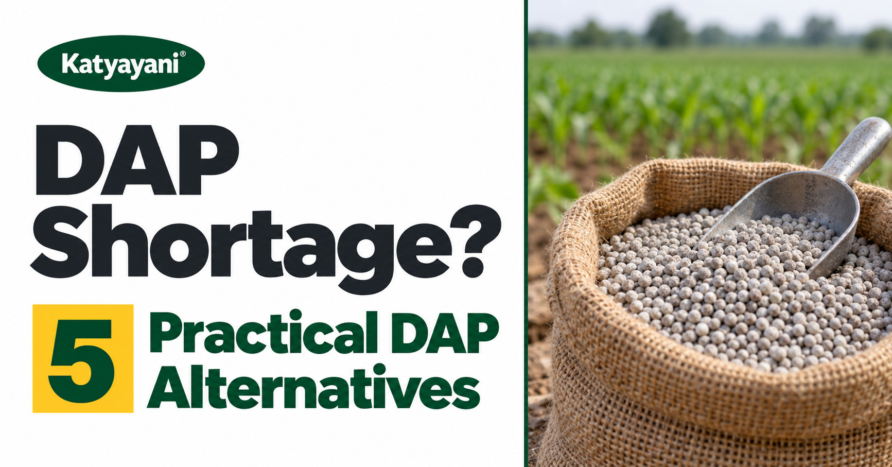 DAP Shortage? 5 Practical DAP Alternatives (SSP, NPK 12:32:16, Nano DAP) Compared