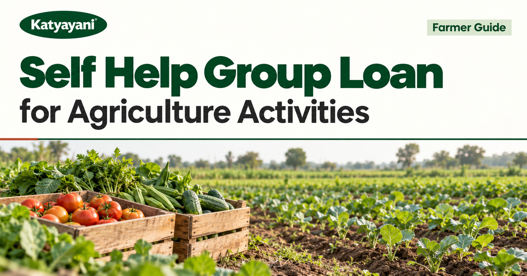 Self Help Group Loan for Agriculture Activities: Farmer Guide
