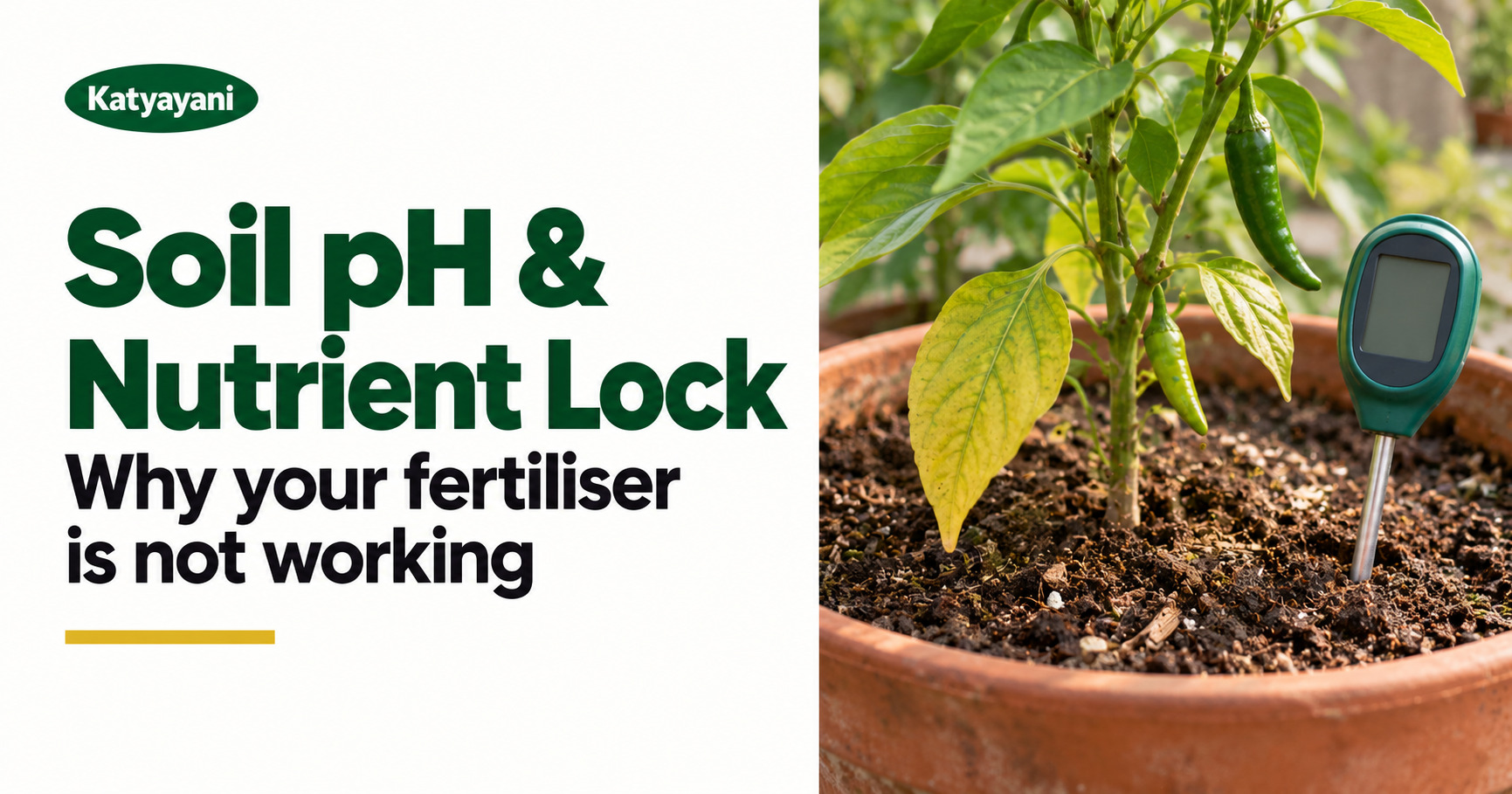 Soil pH and nutrient lock: why your fertiliser is not working