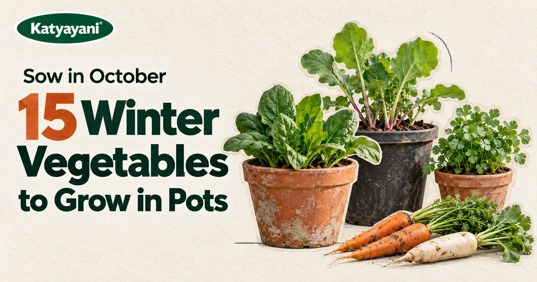15 Winter Vegetables to Grow in Pots (Sow in October)