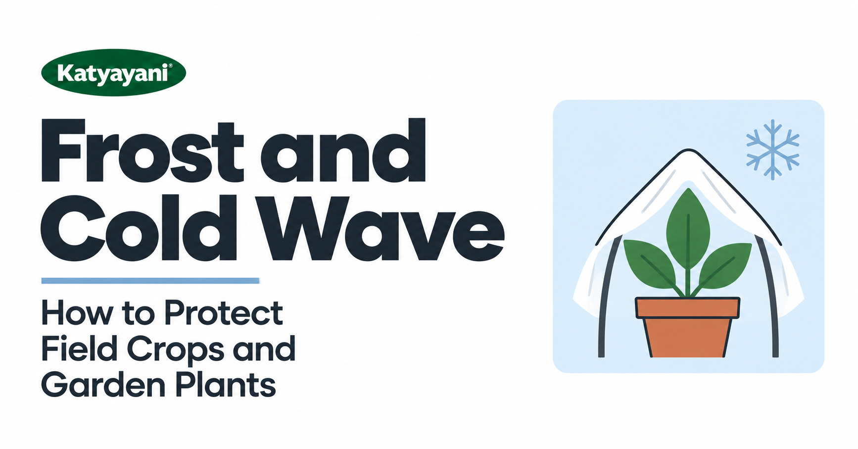 Frost and Cold Wave: How to Protect Field Crops and Garden Plants