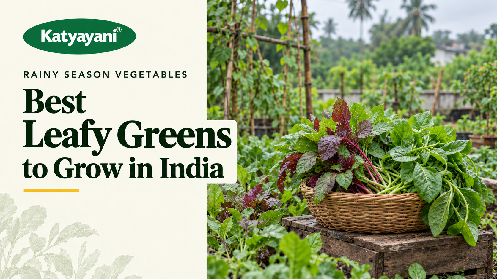Rainy Season Vegetables: Best Leafy Vegetables to Grow in India