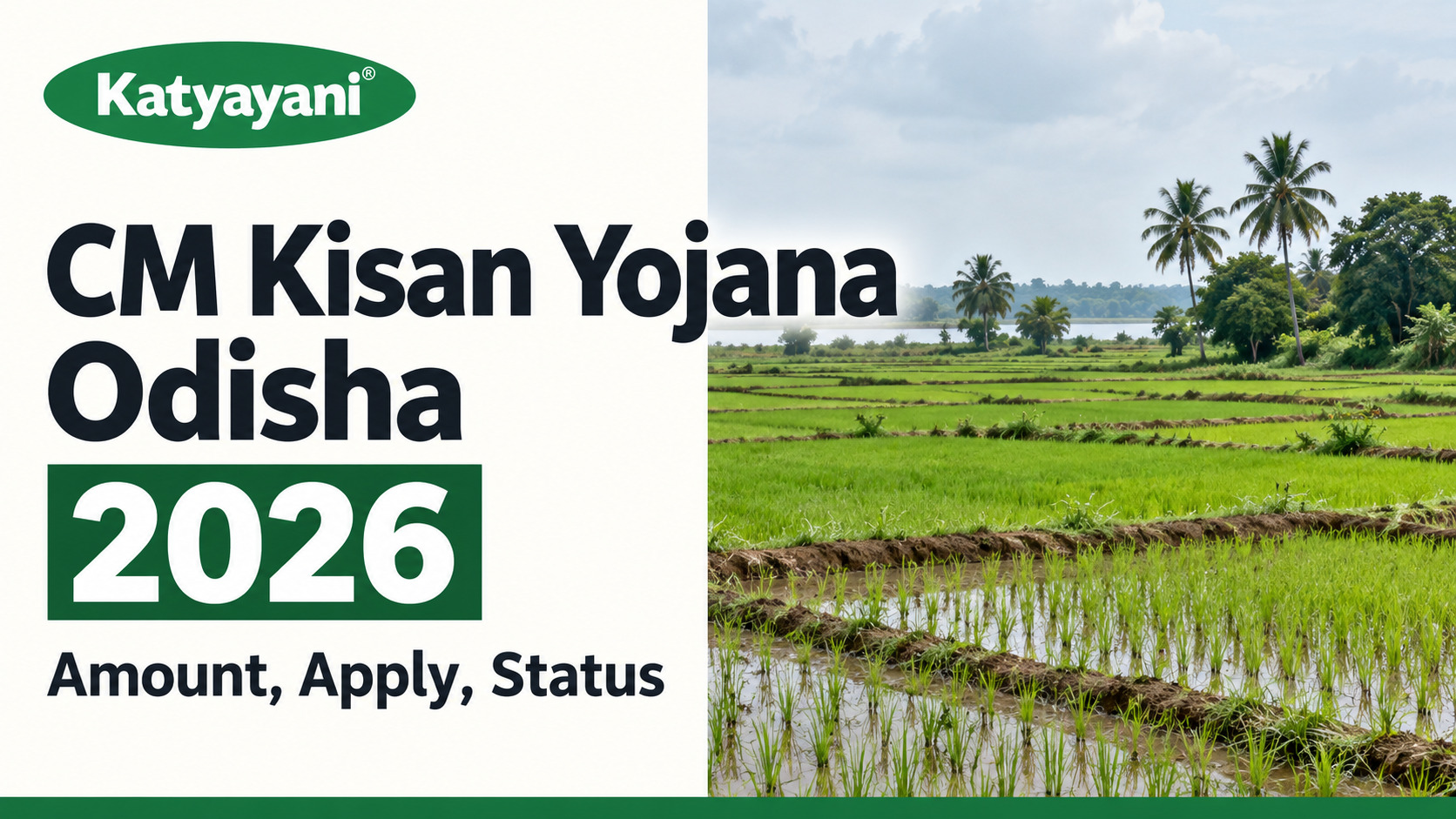 CM Kisan Yojana Odisha 2026: Amount, Apply, Status