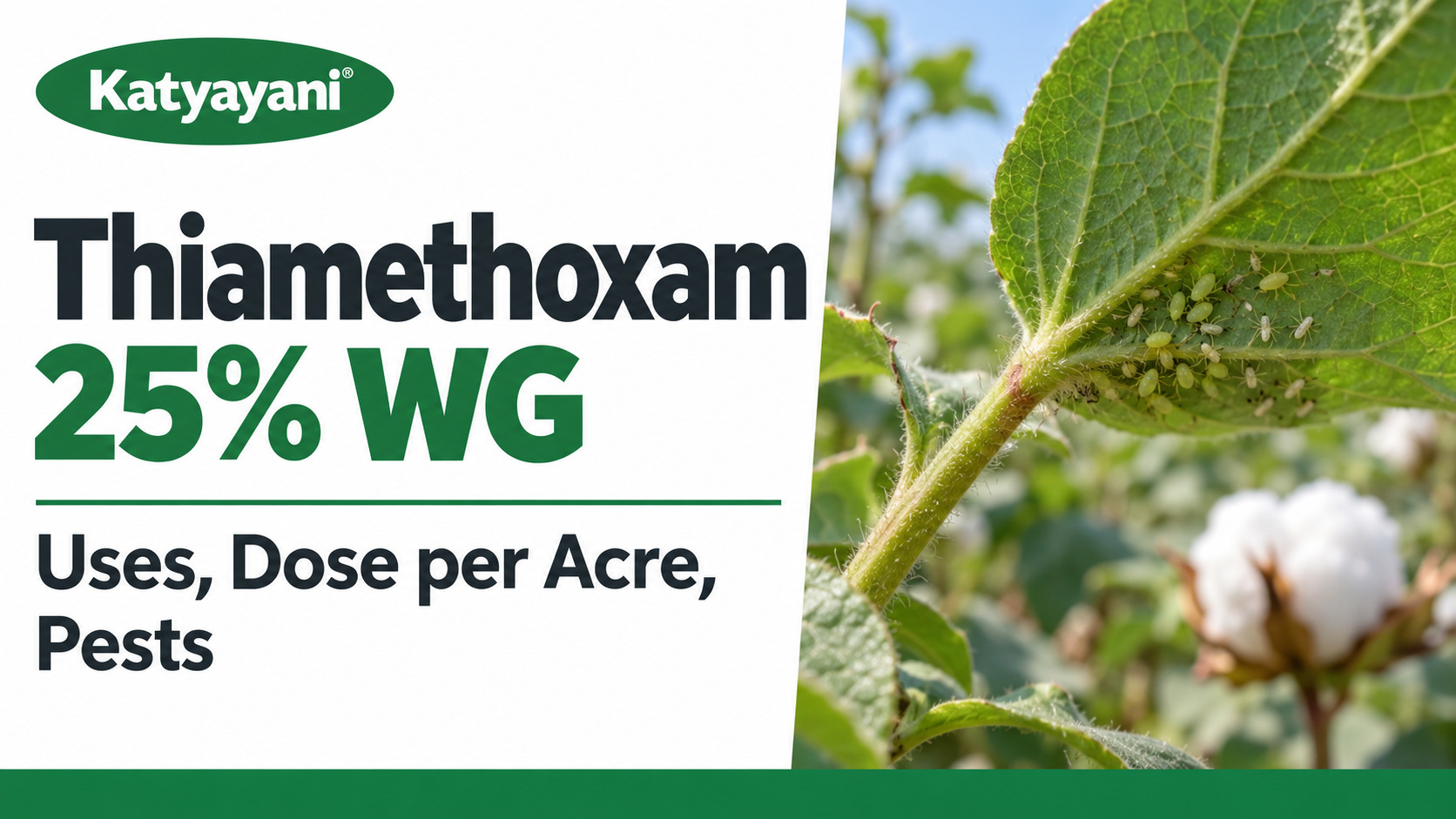 Thiamethoxam 25% WG: Uses, Dose per Acre, Pests