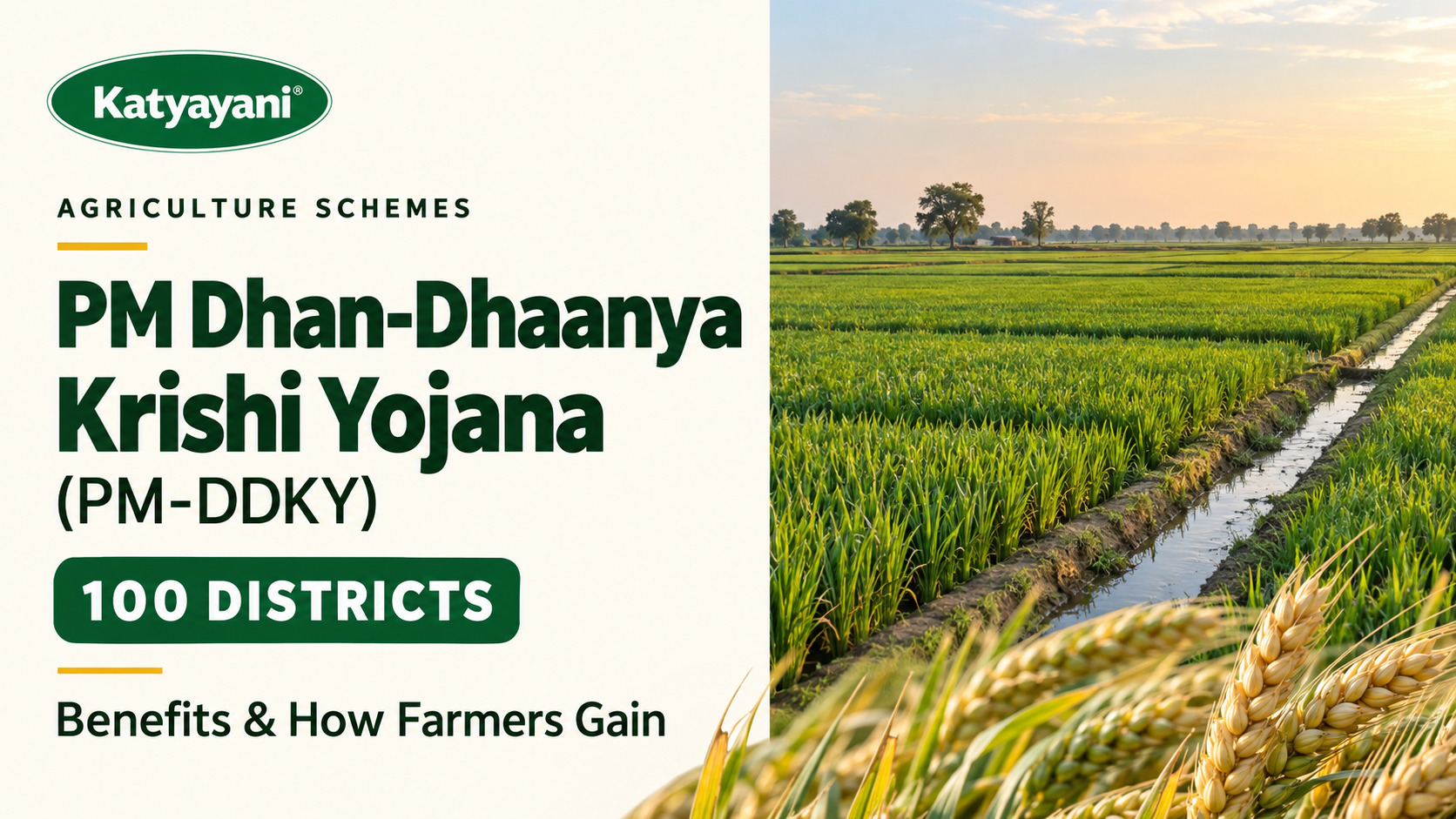 PM Dhan-Dhaanya Krishi Yojana (PM-DDKY): 100 Districts, Benefits and How Farmers Gain