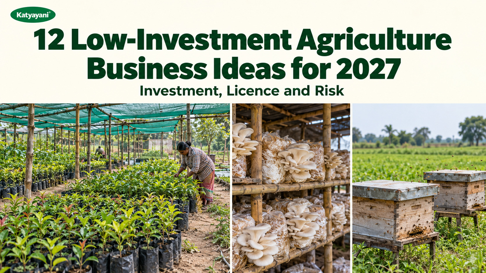 12 Low-Investment Agriculture Business Ideas for 2027: Investment, Licence and Risk