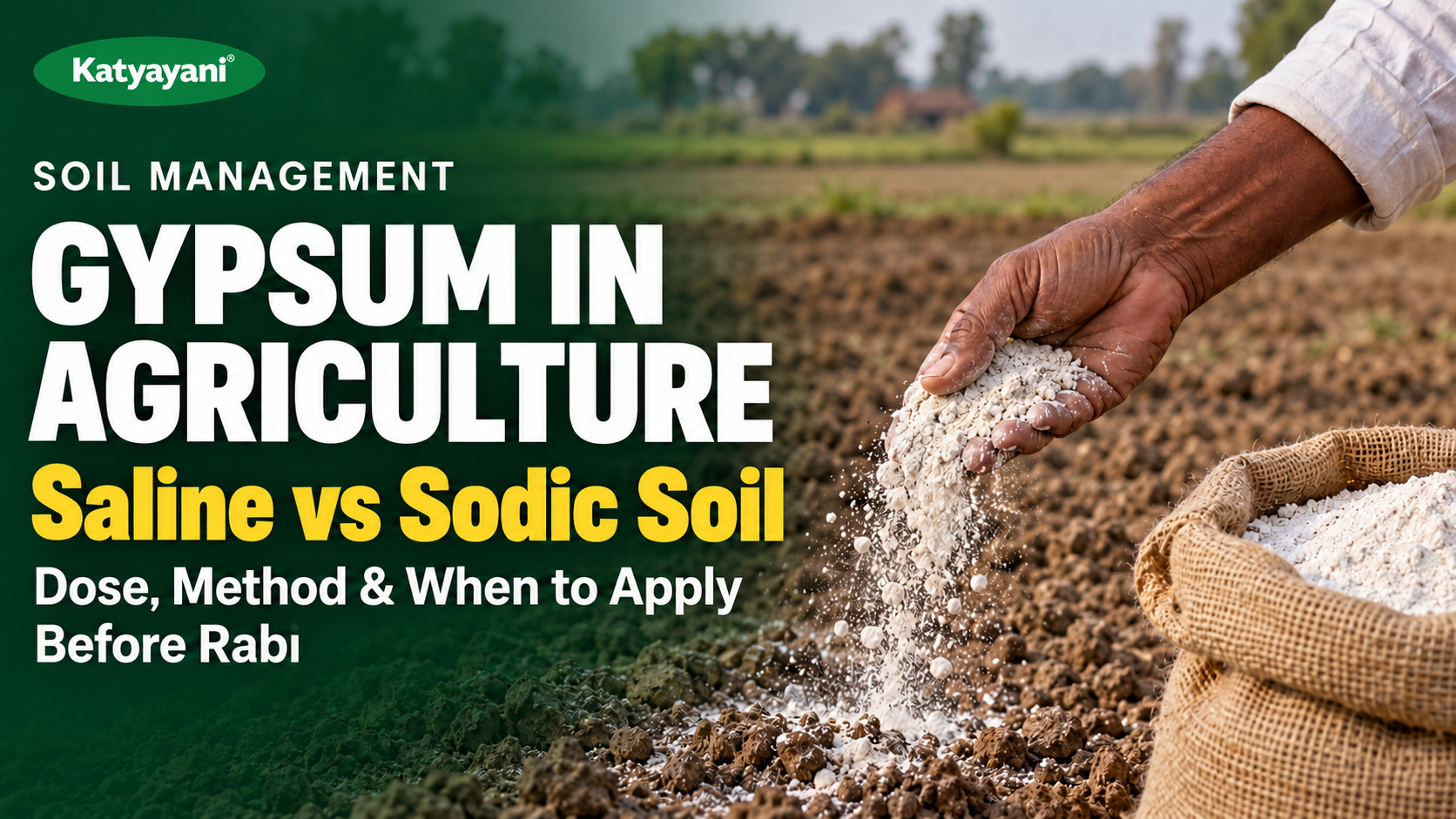 Gypsum in Agriculture: Saline vs Sodic Soil, Dose, Method and When to Apply Before Rabi