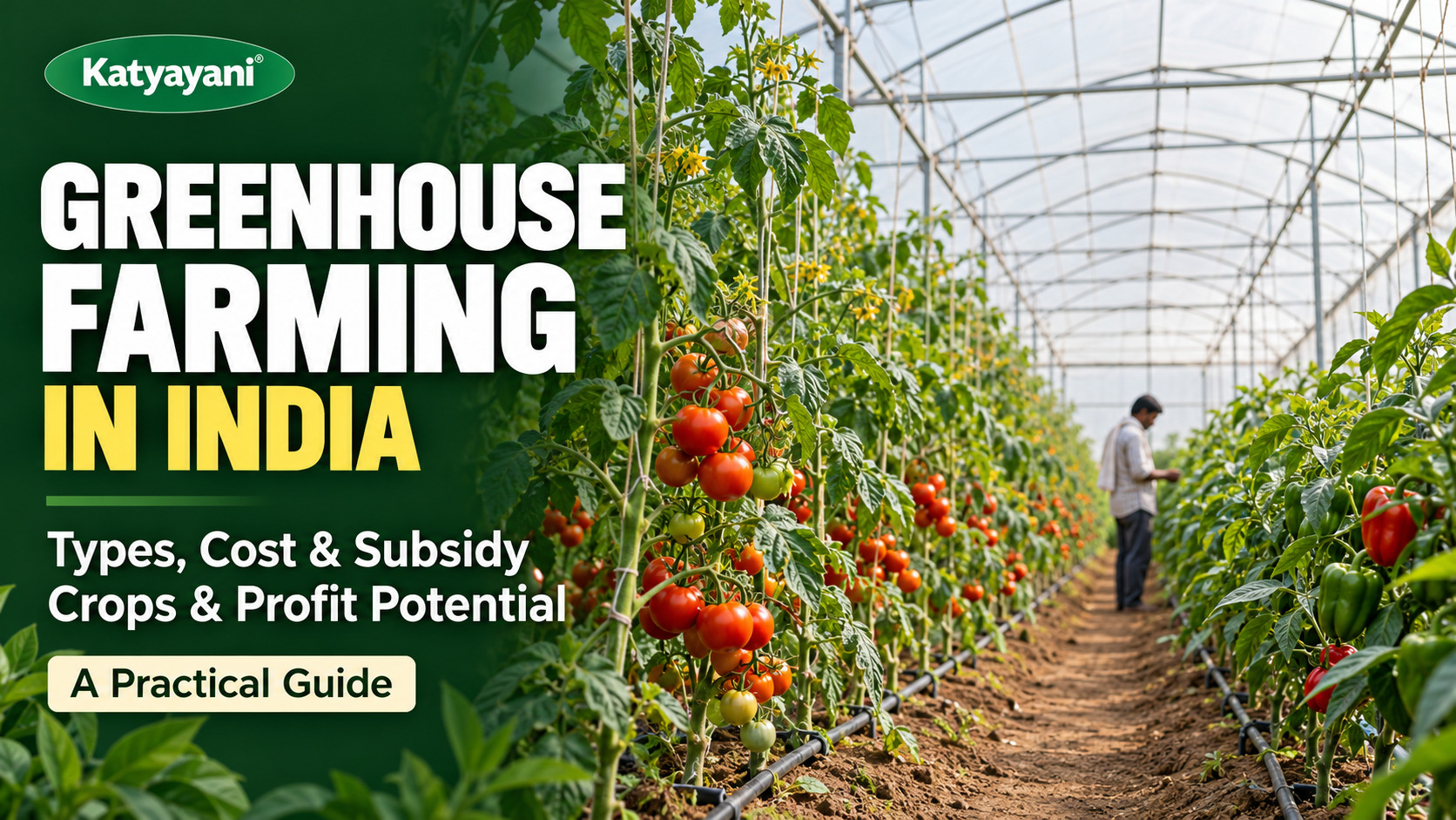 Greenhouse Farming in India: Types, Cost, Subsidy, Crops and Profit
