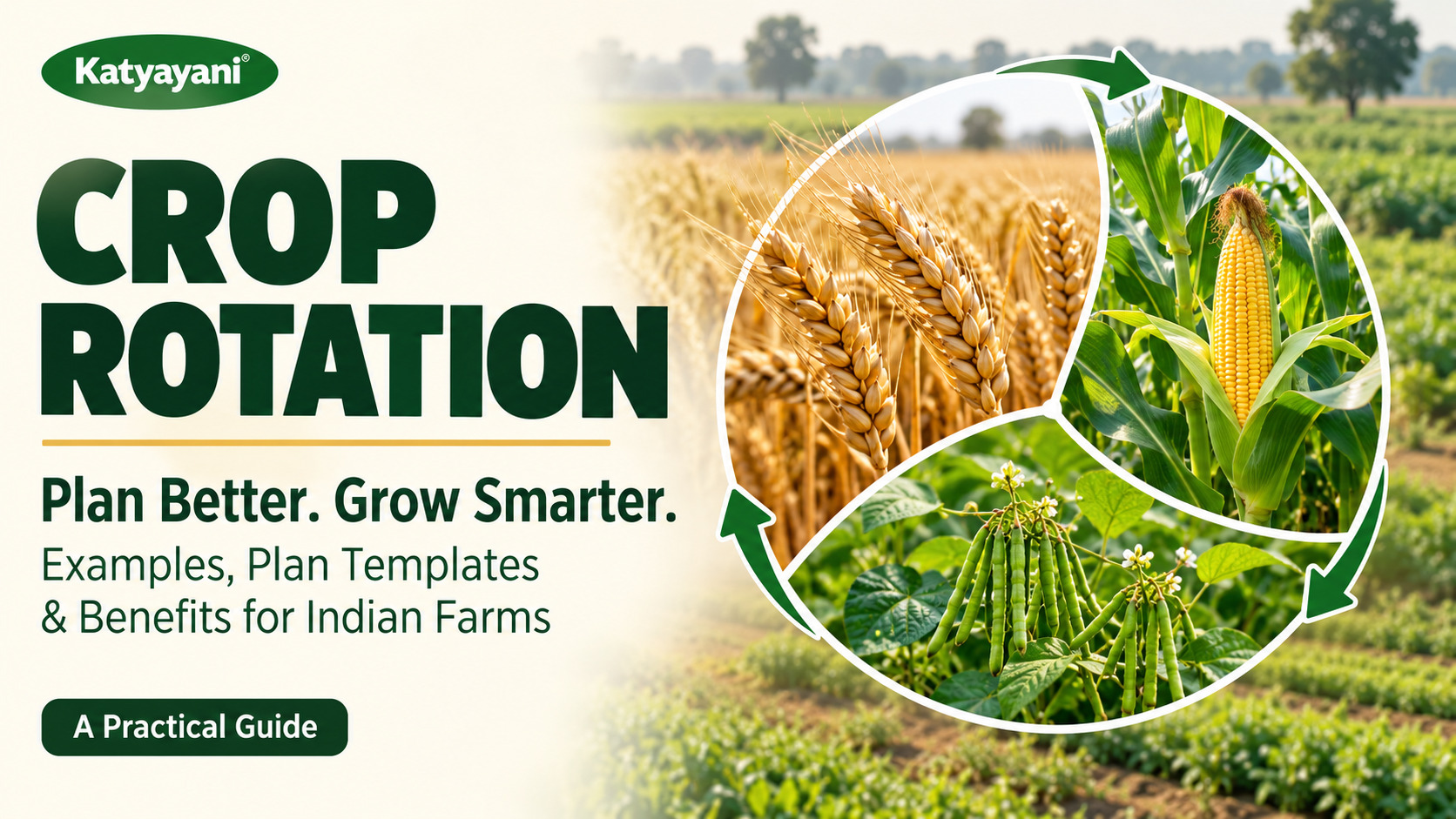 Crop Rotation: Examples, Plan Templates and Benefits for Indian Farms