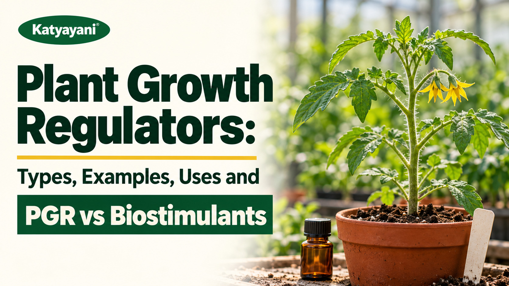 Plant Growth Regulators: Types, Examples, Uses and PGR vs Biostimulants