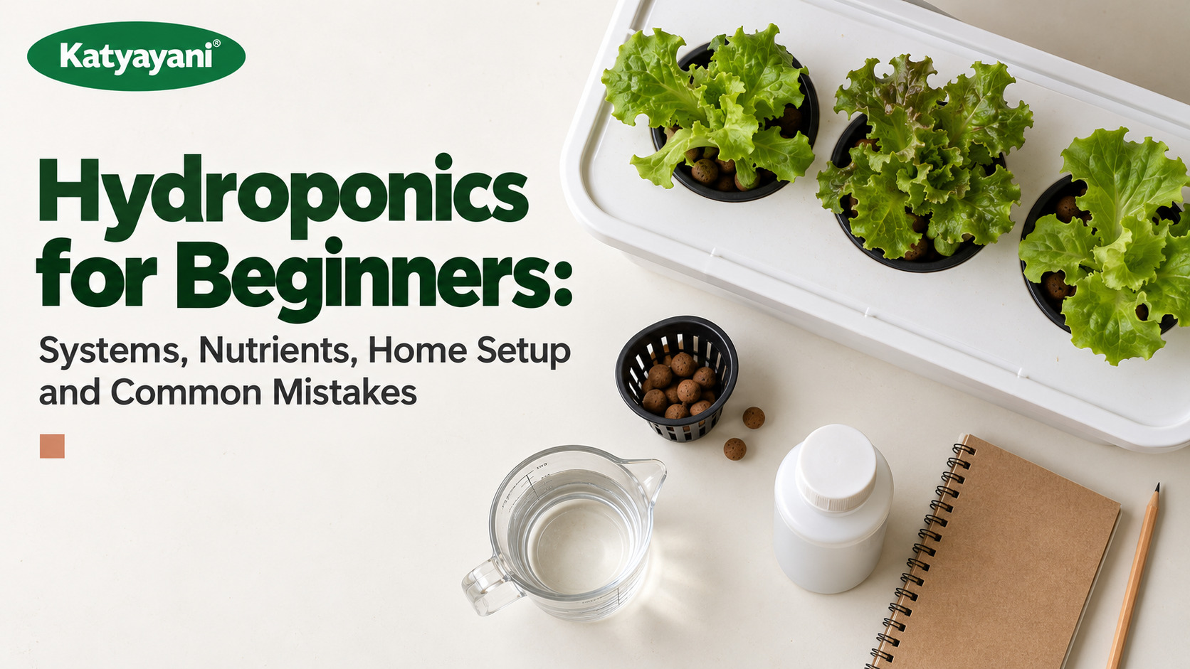 Hydroponics for Beginners: Systems, Nutrients, Home Setup and Common Mistakes