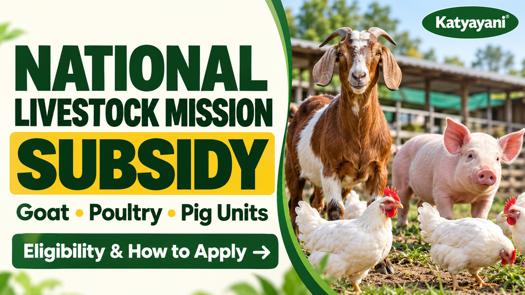 National Livestock Mission Subsidy: Goat, Poultry and Pig Units, Eligibility and How to Apply