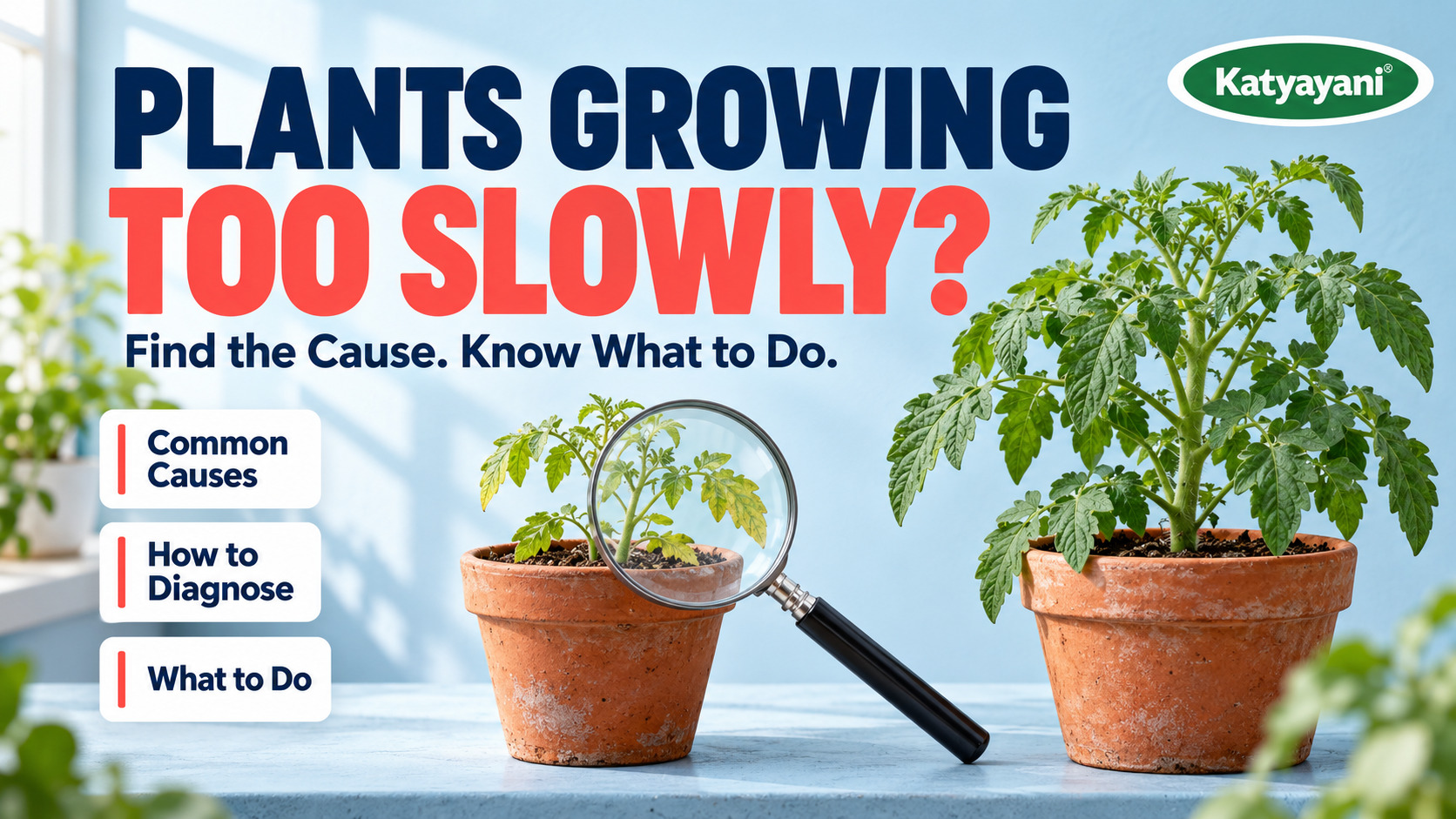 Why Are Plants Growing Slowly? Common Causes, How to Diagnose Them and What to Do