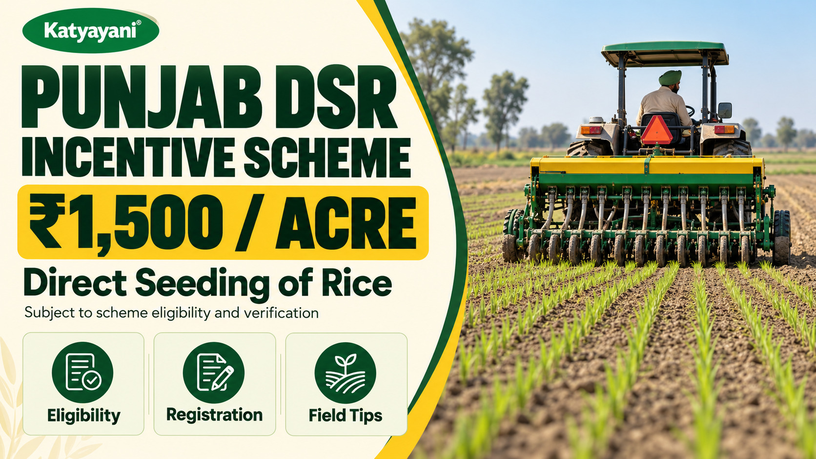 Punjab DSR Incentive Scheme: Rs 1,500 Per Acre for Direct Seeding of Rice, Eligibility, Registration and Field Tips