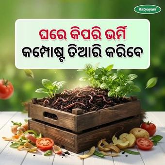 Photo by Katyayani Organics Odia
