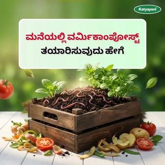Photo by Katyayani Organics Kannada